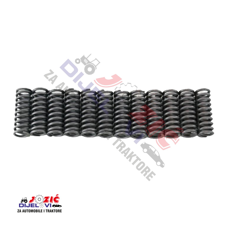 Daisy on the Ohoopee